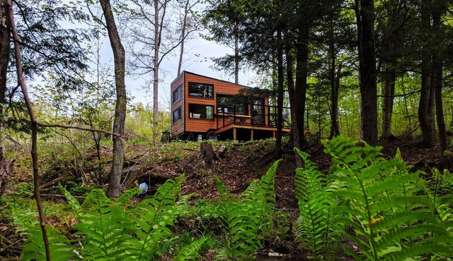 Joni Cabin | Intimate Wilderness Retreat