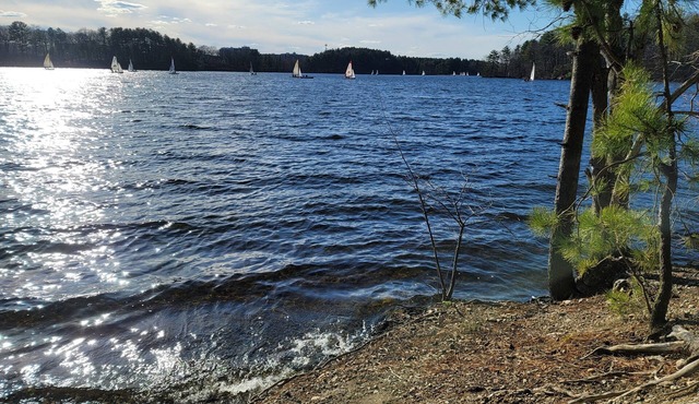 Lakefront private house secluded yet close to everything 3bed 2bath w gameroom!