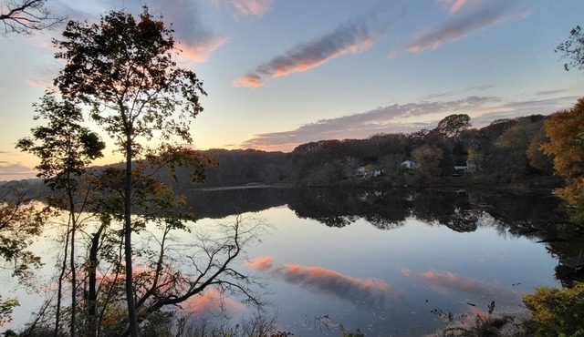 Lakeside Bliss