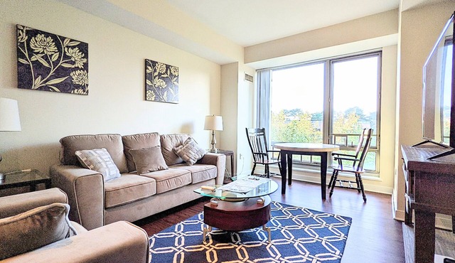 Large 2 Bed/2 Bath, Modern Building, Across MGH, Centrally Located Parks shops