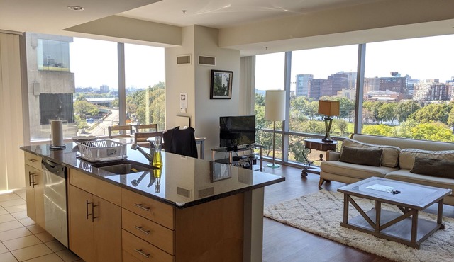 Large 2 Bed/2Bth Apt right by MGH,MIT,Harvard, W/D in suite, Gorgeous River View