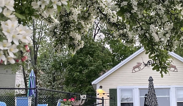Location, Location, Location! Weirs Beach