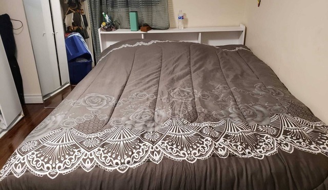 Low Priced Fully loaded room of comfort & tranquility in North East Scarborough