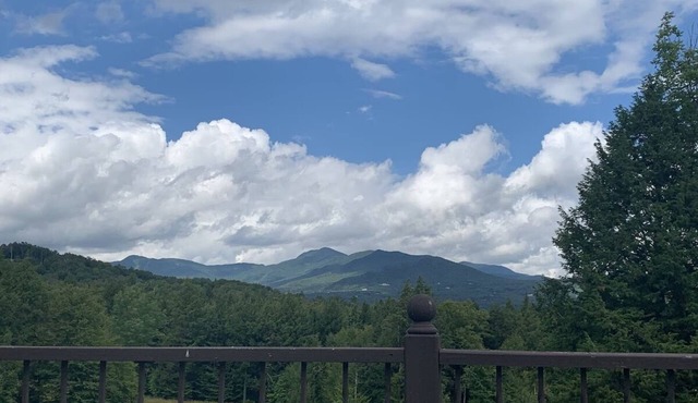 Luxury 3-bedroom Von Trapp Villa in Stowe with Mountain views