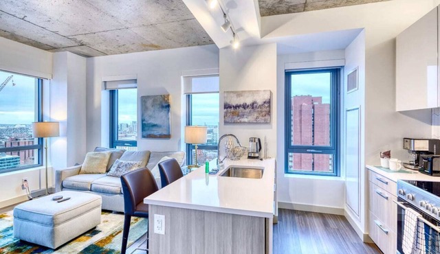 Luxury Apt In Kendall Square