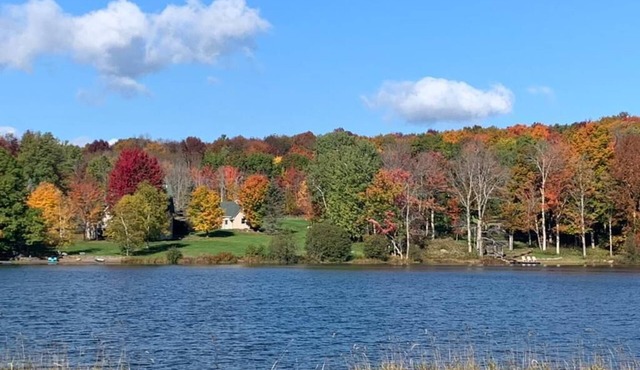 Luxury waterfront ski cabin, 4-bedroom house and office