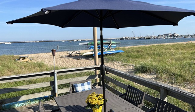 Magical Beachfront Cottage