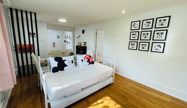 Mickey Mouse Themed Home Toronto Stay
