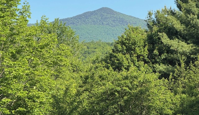 Mountain Chalet in delightful Wilmington Vermont