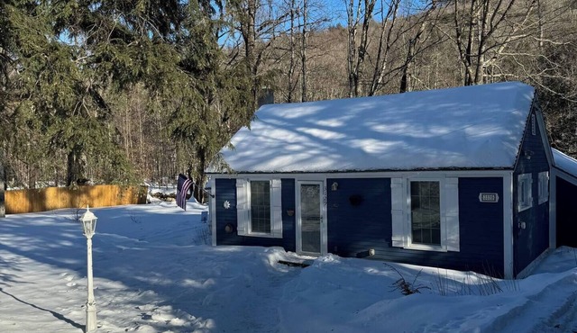 Mt Snow/Stratton Ski Cottage w/scenic water views