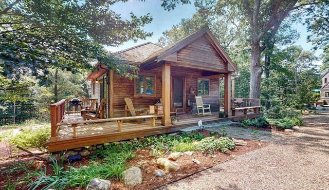 Nana's Backyard Treehouse with deck, electric/gas grills, kitchenette