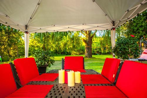 Nature Oasis Bar Room