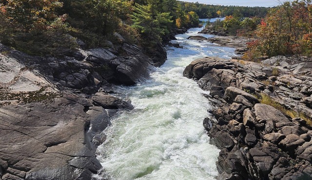 New Lake Front Cottage at Muskoka 15 Min. from Mount St. Louis Ski Resort!