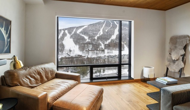 NEW Liftline Luxury - 4 Bedroom Ski In Ski Out - The One Spruce Peak