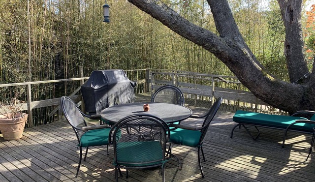 NEW Listing! Light filled cozy cottage just minutes from everything!