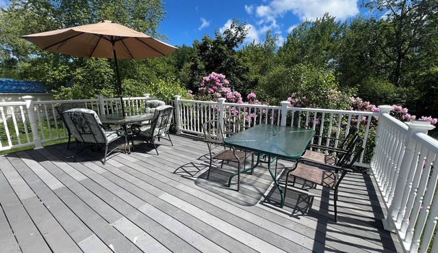 Newly renovated, pet friendly house in the heart of Belfast with large back yard