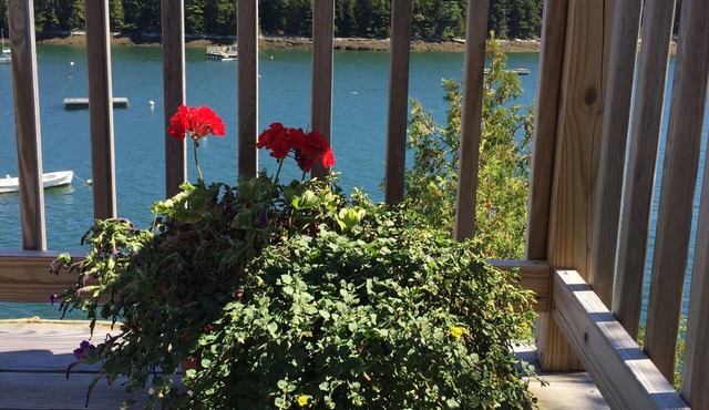 Oceanfront cottage with dock and float on beautiful Quahog Bay