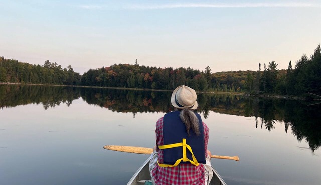 Off-Grid Forest Cabin on Beautiful Lake in Almaguin Highlands
