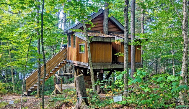 Perched treehouse with a tree growing through the deck | Lodging #08