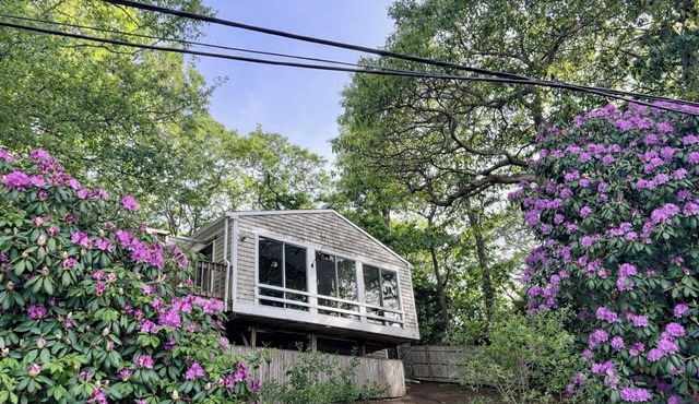 Quaint 3-bedroom cottage in Mashpee with pond views and access