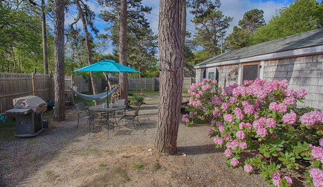 Quaint Private Cozy Cottage with Large Outdoor Cedar Shower