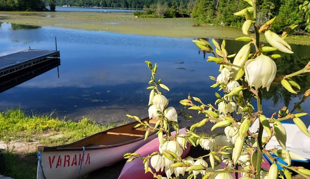 Relax with the whole family at The Varaha. A peaceful cottage facing the lake
