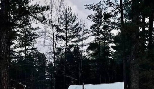 Remodeled Home|Minutes to White Lake|Dog-Friendly!