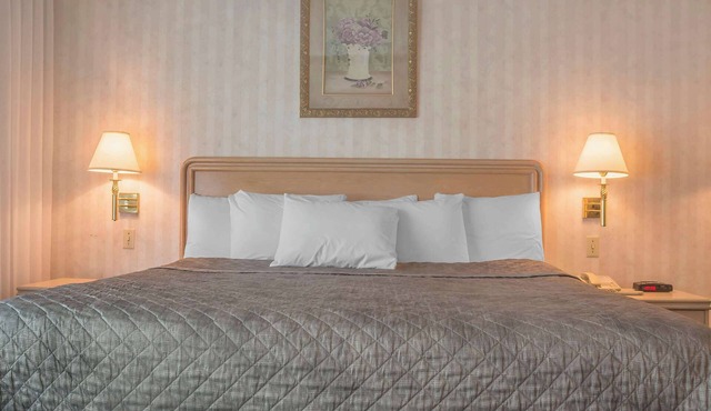 Rodeway Inn Fallsview