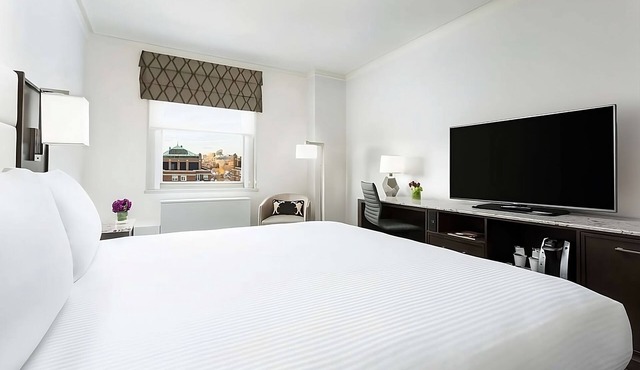 Romantic Couple Room in the Heart of Boston Theater District, Pets Are Allowed