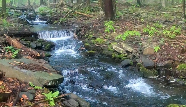 Romantic Pocono house - stream, lake, beach, pool, firepit