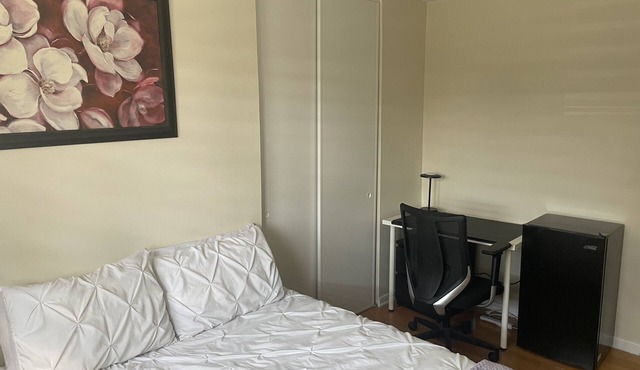 Room for rent for student or worker (only ladies accepted)
