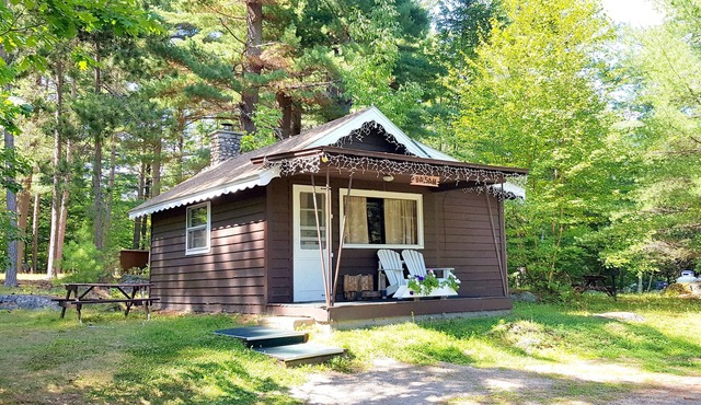 Rustic Cabin in beautiful environment under Pine Trees