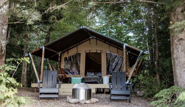 Safari Tent Site 6 | 1 Queen Bed & 1 Twin Bed | Pond View