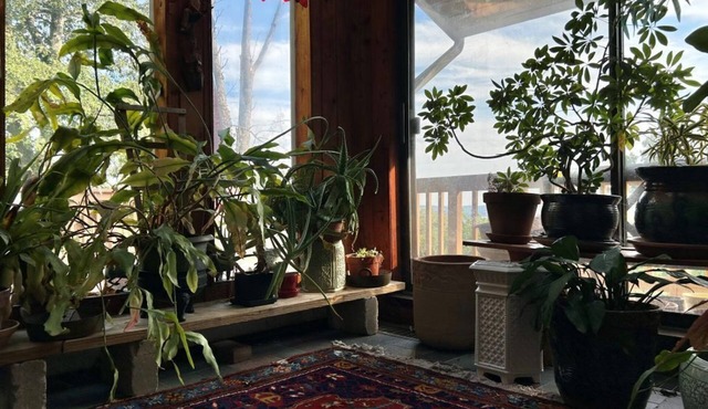 Scenic & Serene: 3BR/3BA w Panoramic Hudson Views! A Birder's paradise
