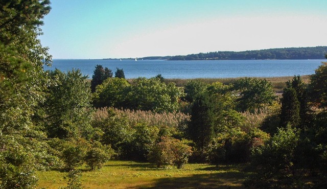 Secluded Bayview Retreat: Your Private Haven in Conservation Forest in Wareham