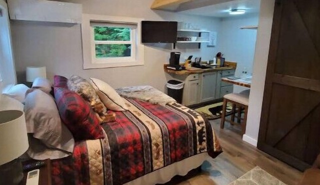 Sleepy Hollow Cabin 2 Studio, sleeps 2, queen bed