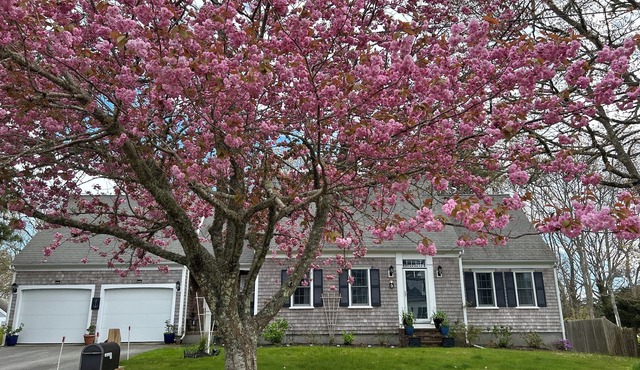 South Yarmouth-Walk to Beach! Large 4 Bedroom/2.5 Bath House-Central AC