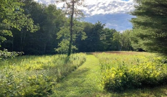 Spacious lake retreat on 17 acres