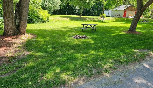 Spot 15 – Spacious Campground Site