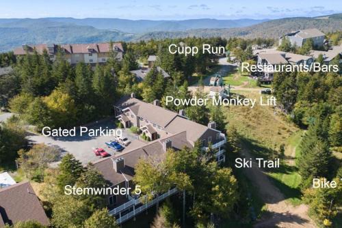Stemwinder 5 Spacious Townhome Short Distance to Powder Monkey Lift in Snowshoe