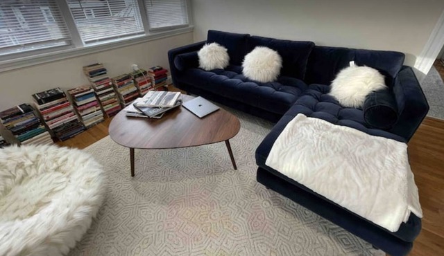 Sunny, beautiful, cozy and spacious Cambridge apt.