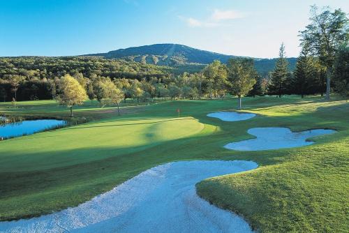 The Black Bear Lodge at Stratton Mountain Resort