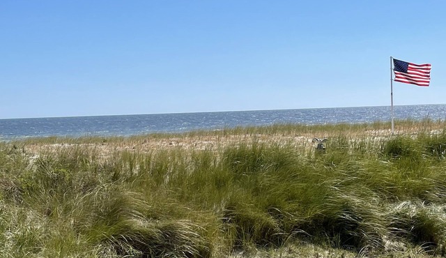 The Dunes of Ship Bottom