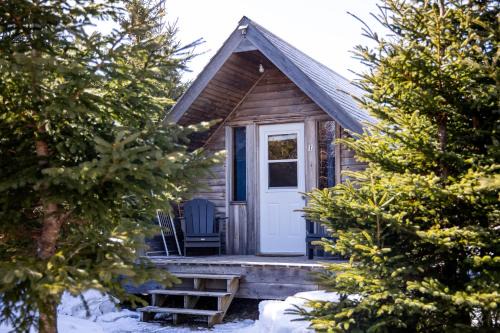 The Zzzz Moose Camping Cabins in Birch Plain