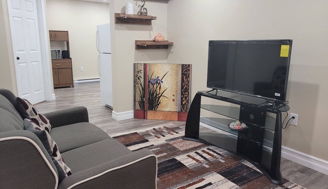 This beautiful comfy basement apartment 5 minutes from the park. in Saint John