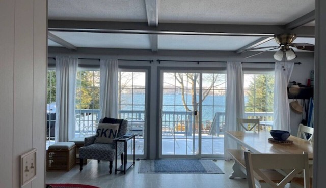 Three Birds Cottage-Level Skaneateles Lake