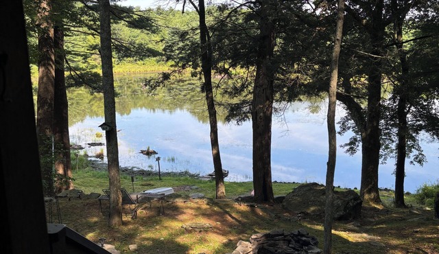 Tranquil 2-bedroom cabin in On Pond In Hawley perfect for getaway