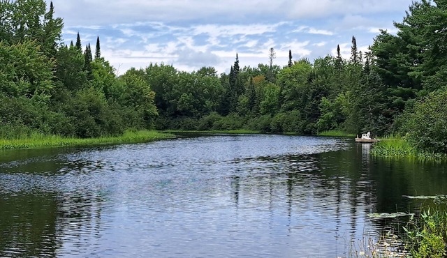 Tranquil, airy cottage just steps from the river with miles of boating fun!