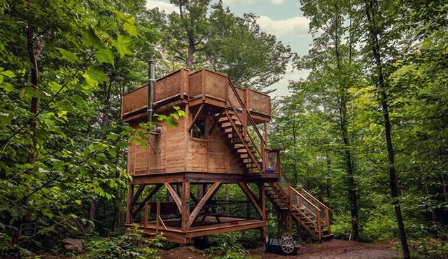 Treehouse ideal for pairing with a neighbour | Lodging #11