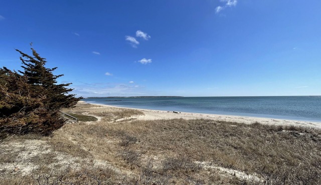 Twin Cape Cottages 🏡 Walk to Beach/Town/Ferries, Yard, Outdoor Shower!